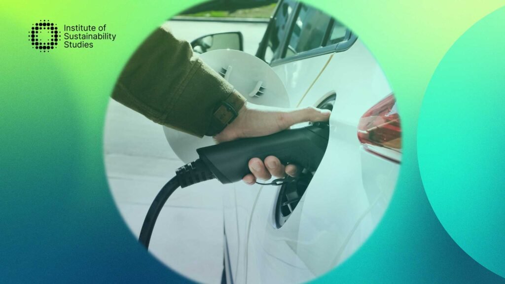 The Green Tech Vanguard: Exploring the Innovations at Shashel.eu